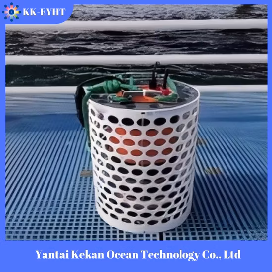 Submersible Seawater-Resistant Dewatering Pumps Sewage sludge Water Pump